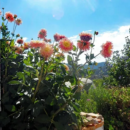 As Tunel Holiday home Tarbena